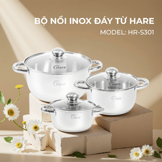 0001225_bo-noi-inox-hare-hr-s301_550