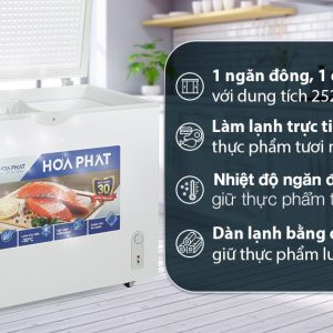 Tủ đông Hòa Phát 252 lít HPF AD6252