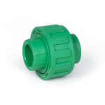 Zắc co 20 Zắc co 20