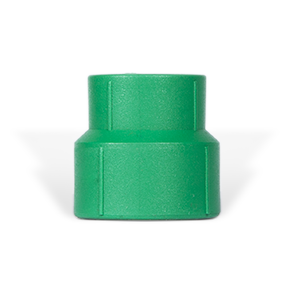 Cút thu (Côn thu) 25-20