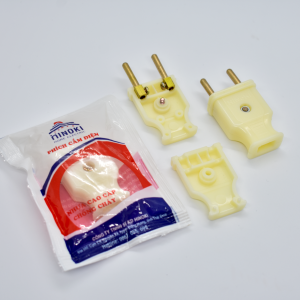 PHÍCH CẮM THƯỜNG