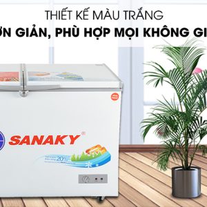 Tủ đông Sanaky 260 lít VH-3699W1